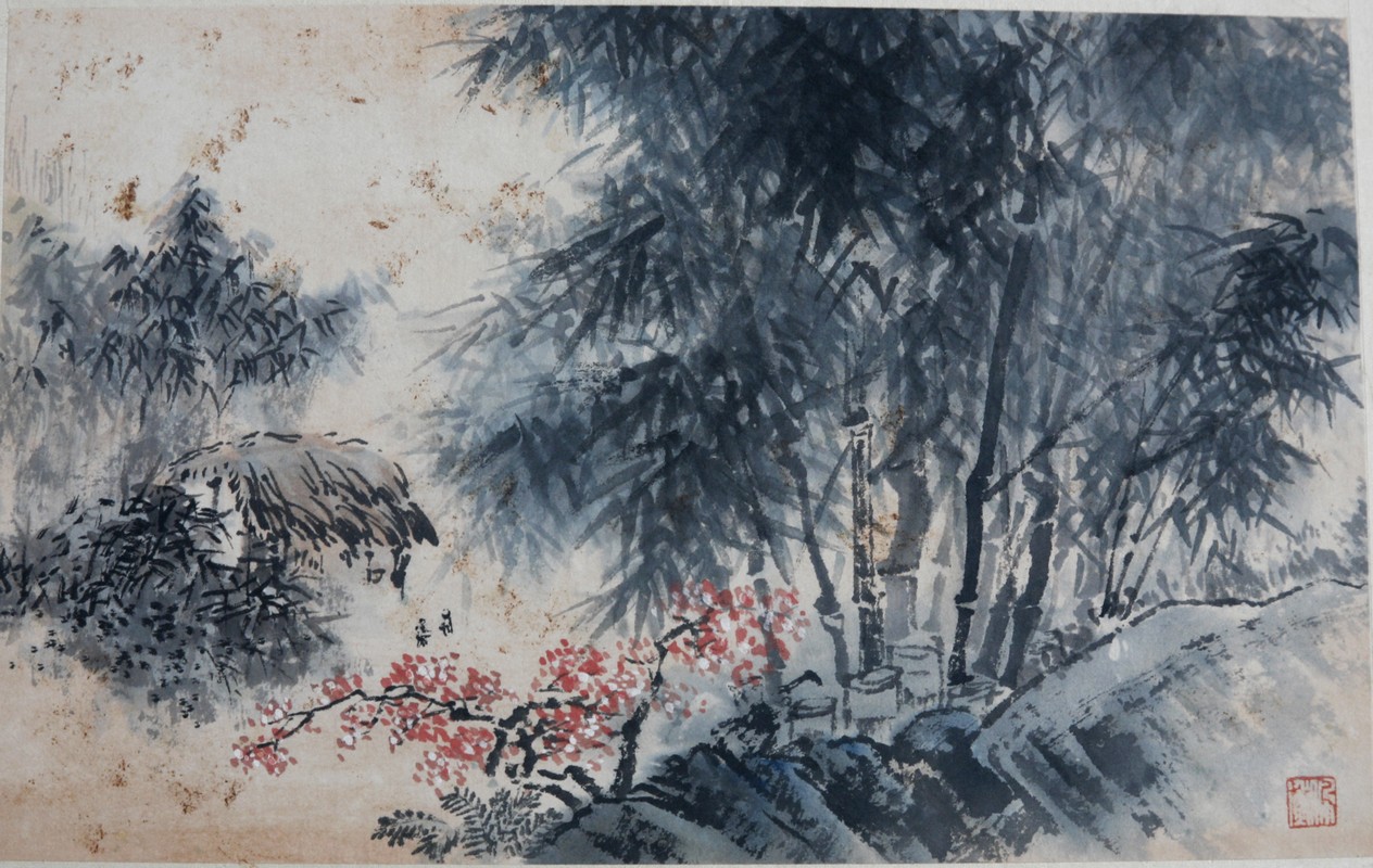 pic1
